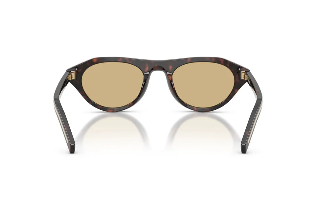 Premium trendy Sunglasses 8856