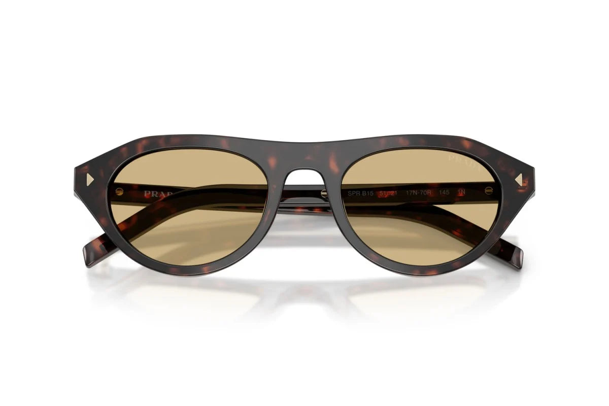 Premium trendy Sunglasses 8856