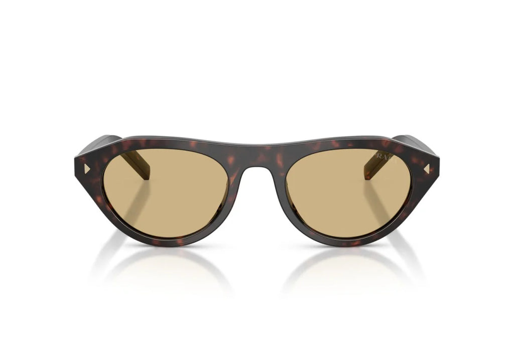 Premium trendy Sunglasses 8856