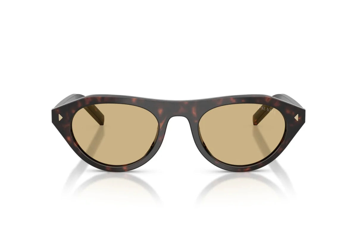 Premium trendy Sunglasses 8856