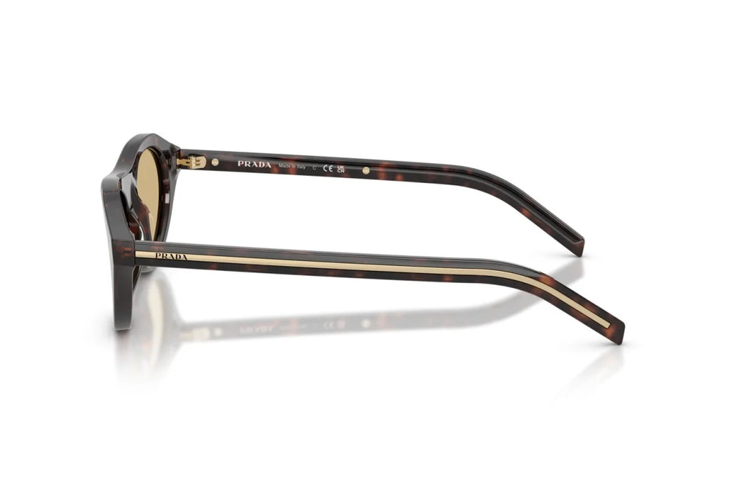 Premium trendy Sunglasses 8856
