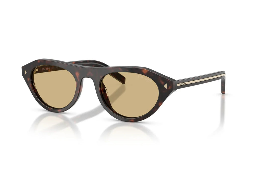 Premium trendy Sunglasses 8856