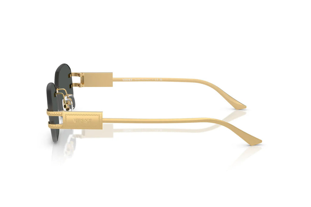Modern Luxury Sunglasses 9916