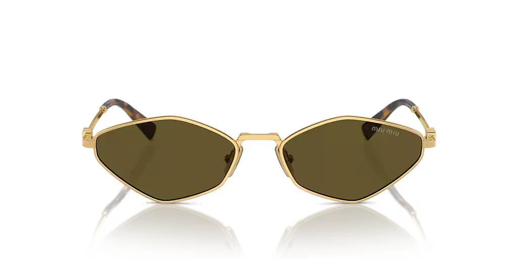 Modern Chic Fashion Sunglasses 9736
