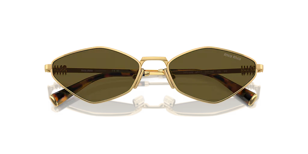 Modern Chic Fashion Sunglasses 9736