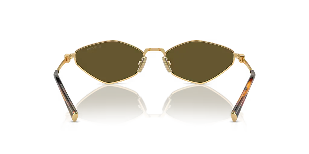 Modern Chic Fashion Sunglasses 9736